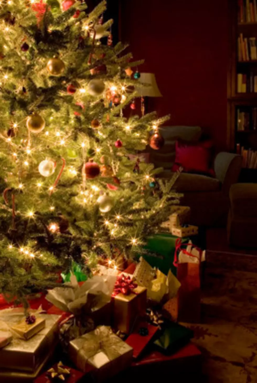 Cats vs Christmas Trees Who Wins [Video]
