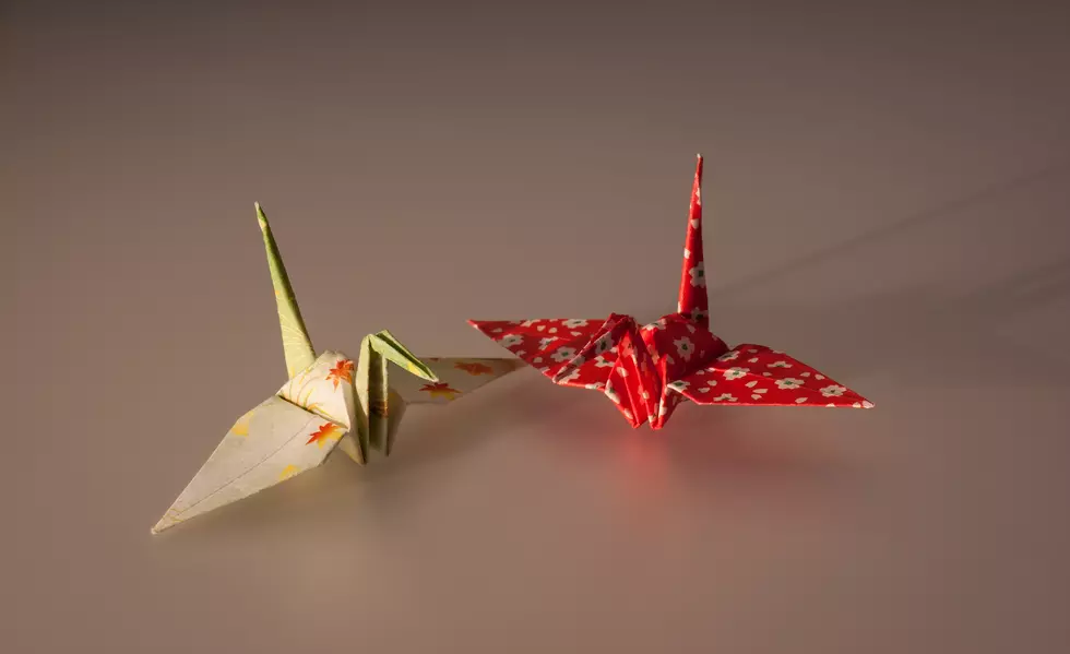 SUNY Oneonta Paper Crane Project