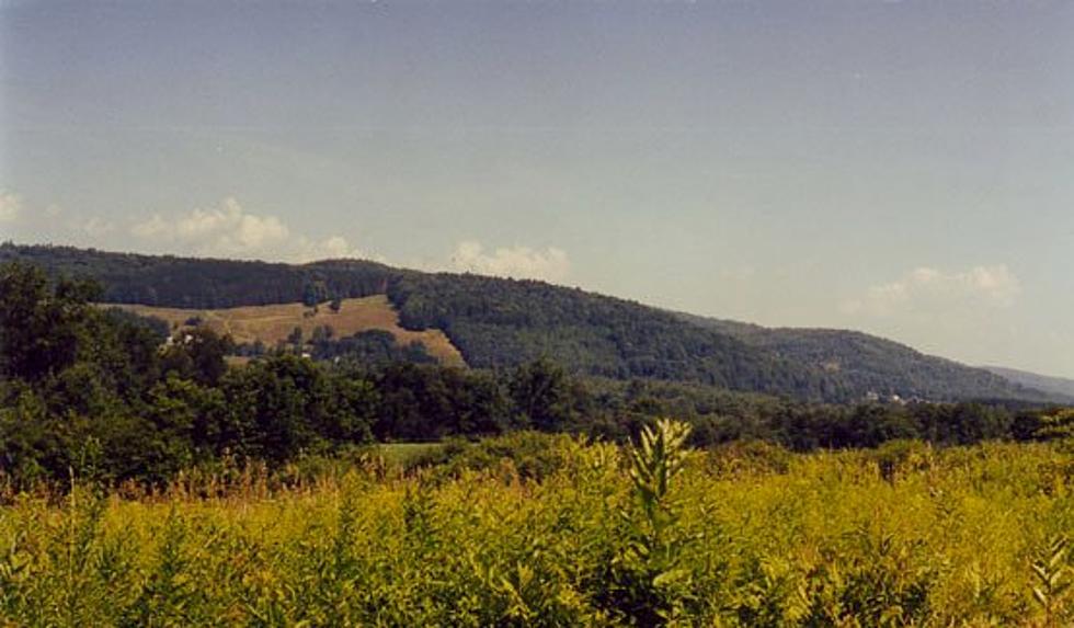 Otsego County Conservation Association Now Taking Nominations for Conservationist of the Year