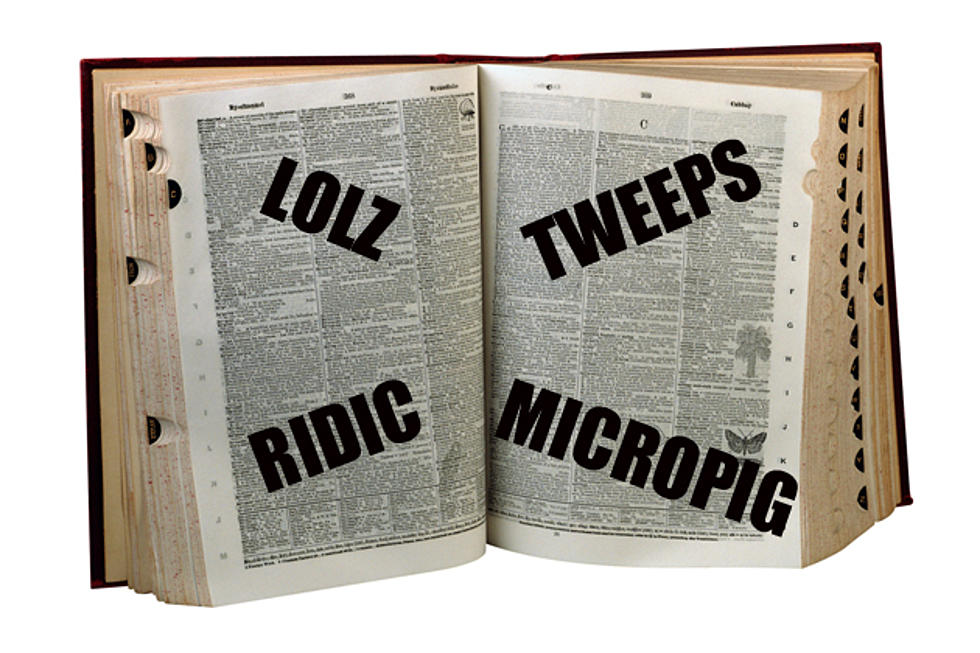 Oxford Online Adds Ridic New Words to Dictionary
