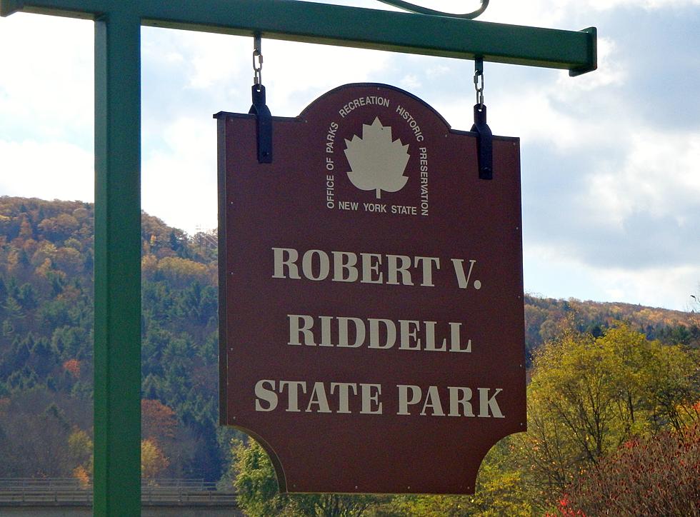 Robert V Riddell NY State Park, Perfect For Family Hikes and Picnics [Photos]
