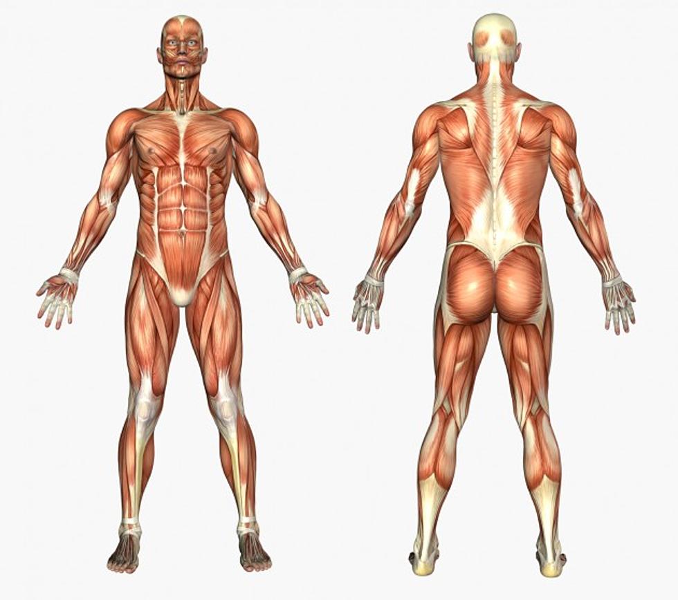 10 Amazing Facts About The Human Body And 10 Useless Body Parts [Videos]