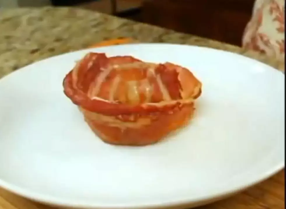 As Seen On TV&#8217;s &#8216;Bacon Bowl&#8217; is For the Birds [Video]