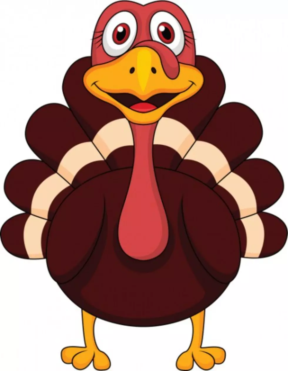 Turkey Trot To Benefit Hospice Families [Audio]