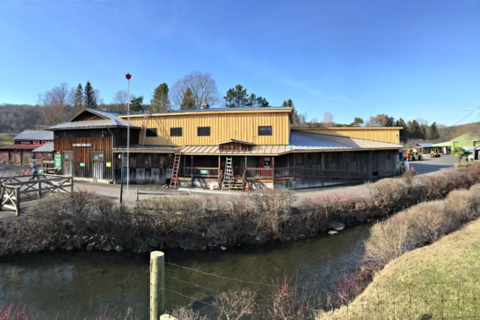 Newly Renovated Fly Creek Cider Mill Opens April 1st