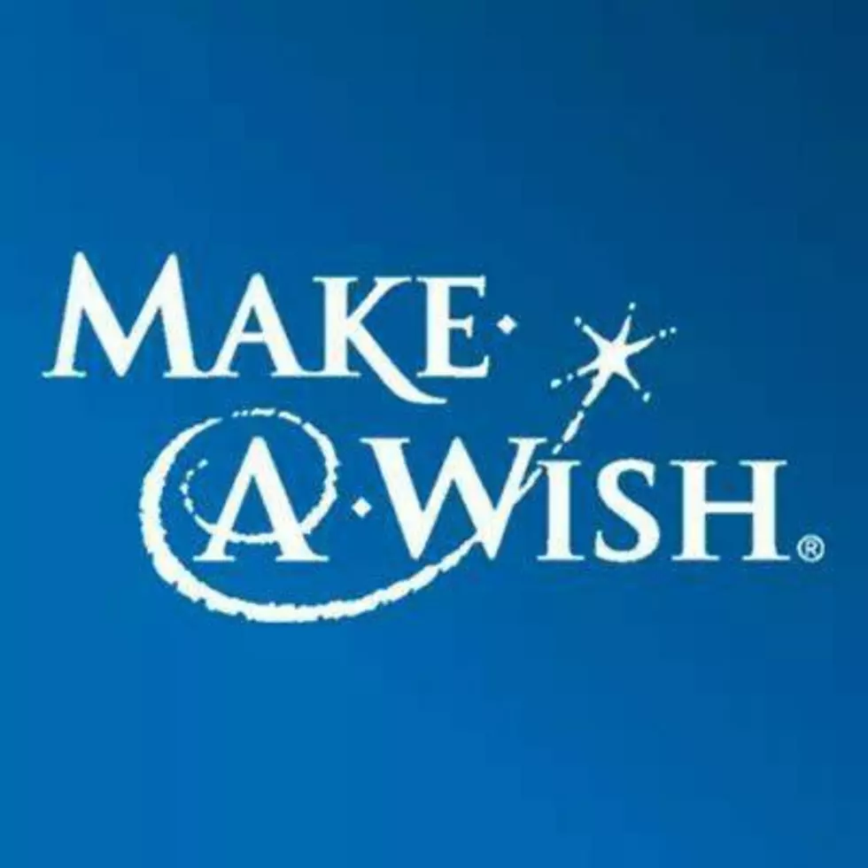 Make-A-Wish Seeking Wish Granter Volunteers