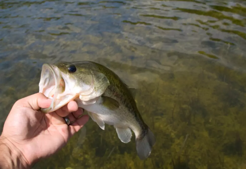 Oneonta Fishing Derby Results