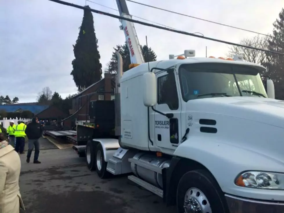 Oneonta’s Rockefeller Center Christmas Tree Is On Its Way To NYC