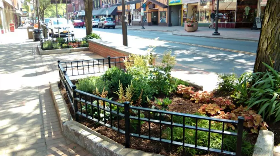 Winning Oneonta Revitalization Projects Announced