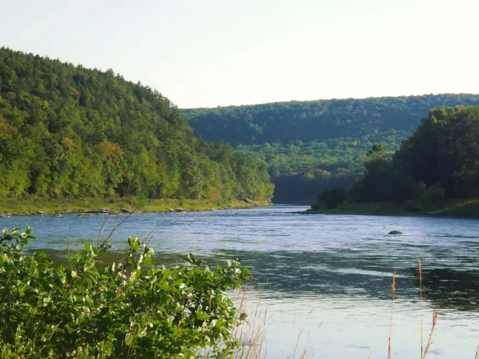 Friends of the Upper Delaware River recognized