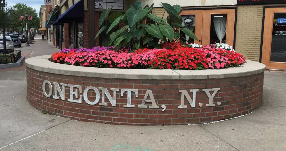 Future Of Oneonta Foundation Announces 2018 Properties Of Merit Winners