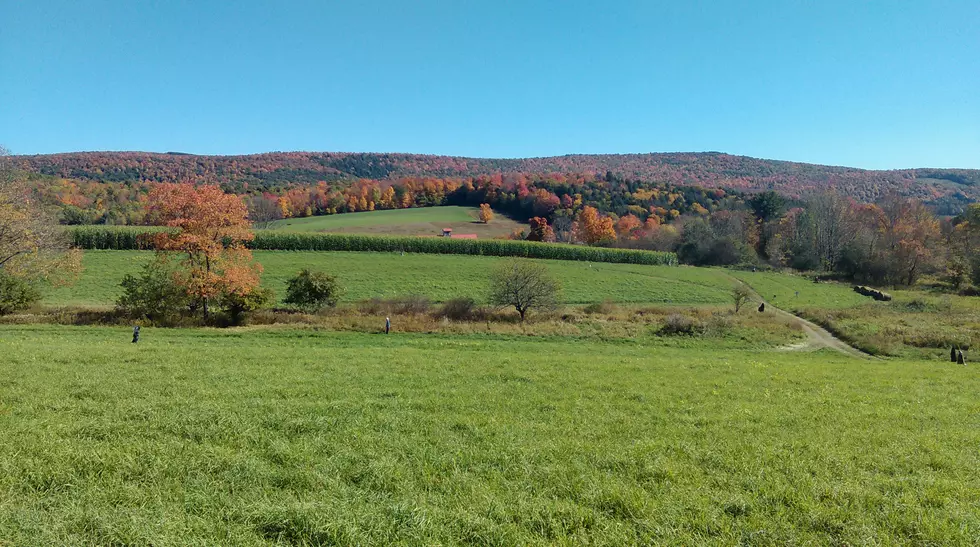 Willy's Farm & Cider Mill (TSM)