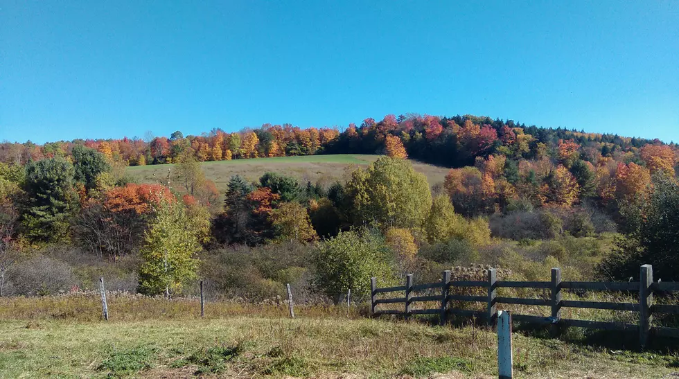 Willy's Farm & Cider Mill (TSM)