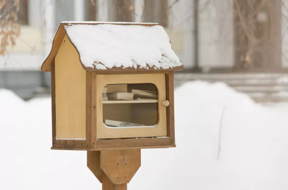 Coolest Little Library Ever! Make Your Own