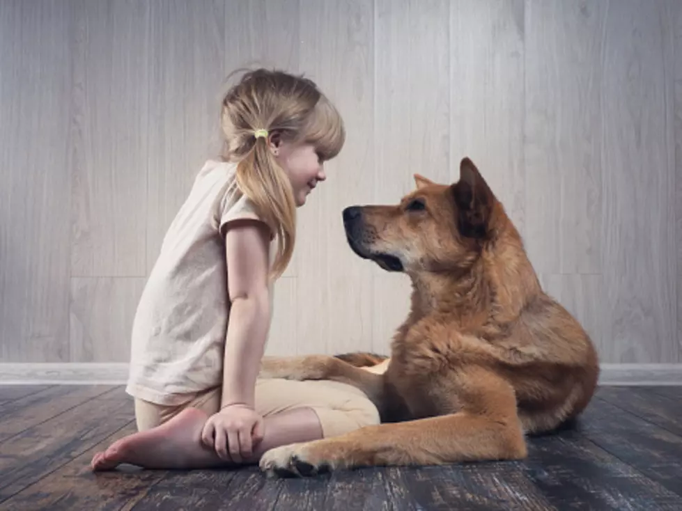 Remembering Childhood Pets On National Kids And Pets Day
