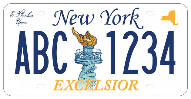 Voting Open For New NY License Plate Design