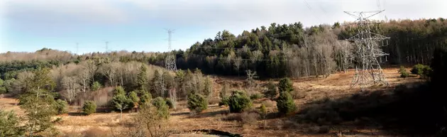 West Laurens May Become Home to Large Solar Farm