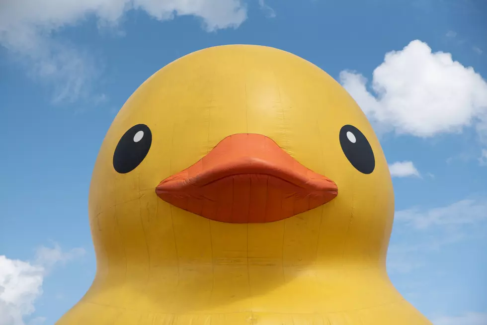 Family Resource Network Needs You For Virtual Duck Derby