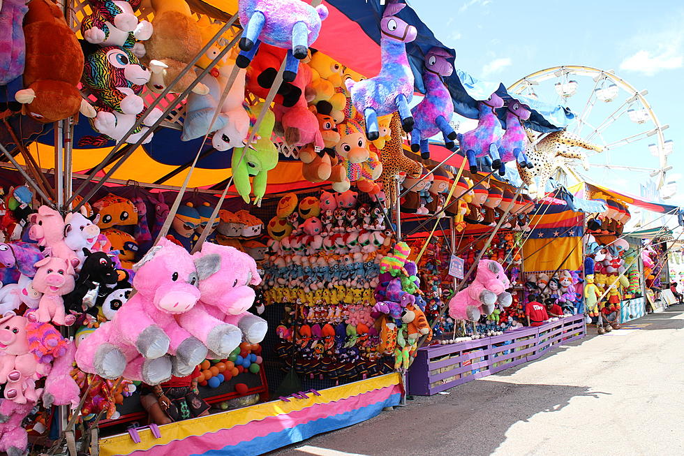 The 2021 Central NY County Fair Season Is Almost Here