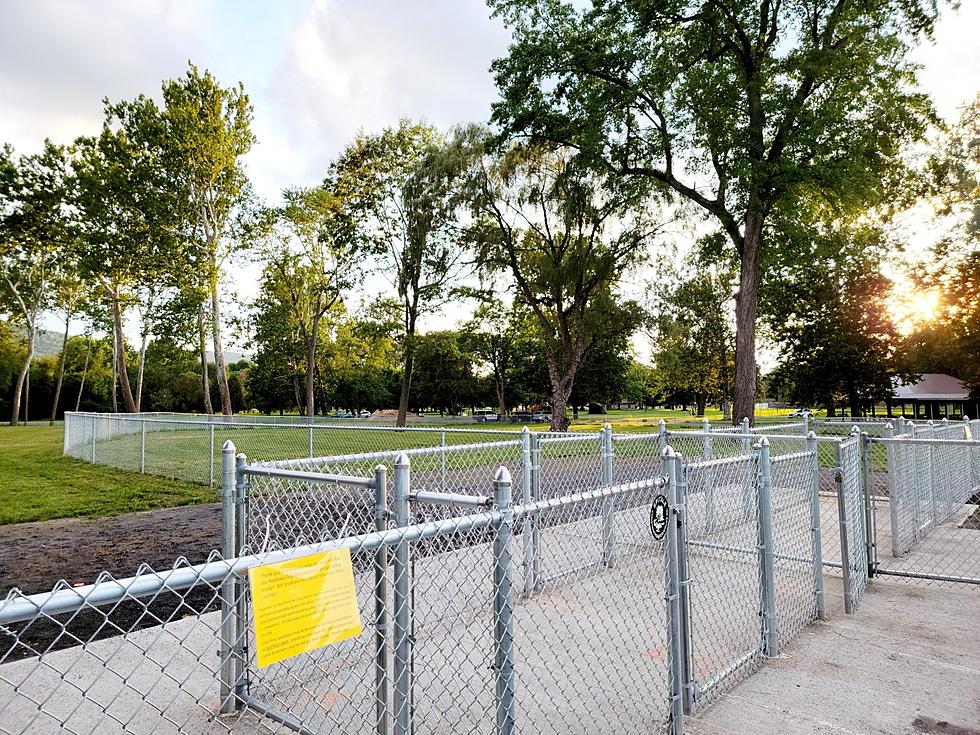 Local Dogs Wiggling With Excitement For Soon-to-be Opened Oneonta Dog Park