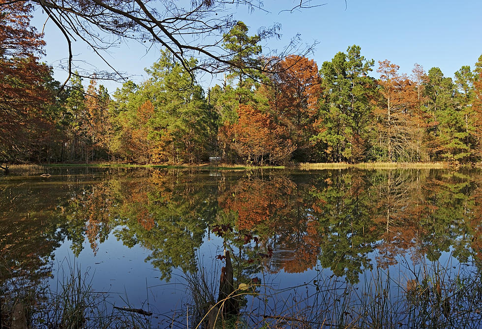 Outdoor Lovers: Enjoy The Season&#8217;s &#8216;Otsego Fall Octet Challenge&#8217; Until December 21