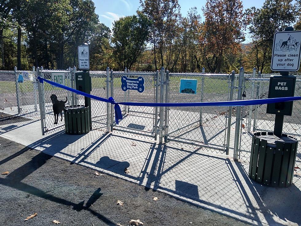 It&#8217;s Unanimous: Resident Dogs Give Oneonta, NY Dog Park Four Paws Up