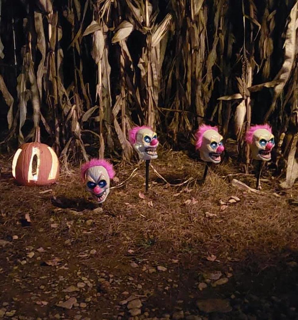 This Otsego County Haunted Corn Maze Delivers Best Jump Scares