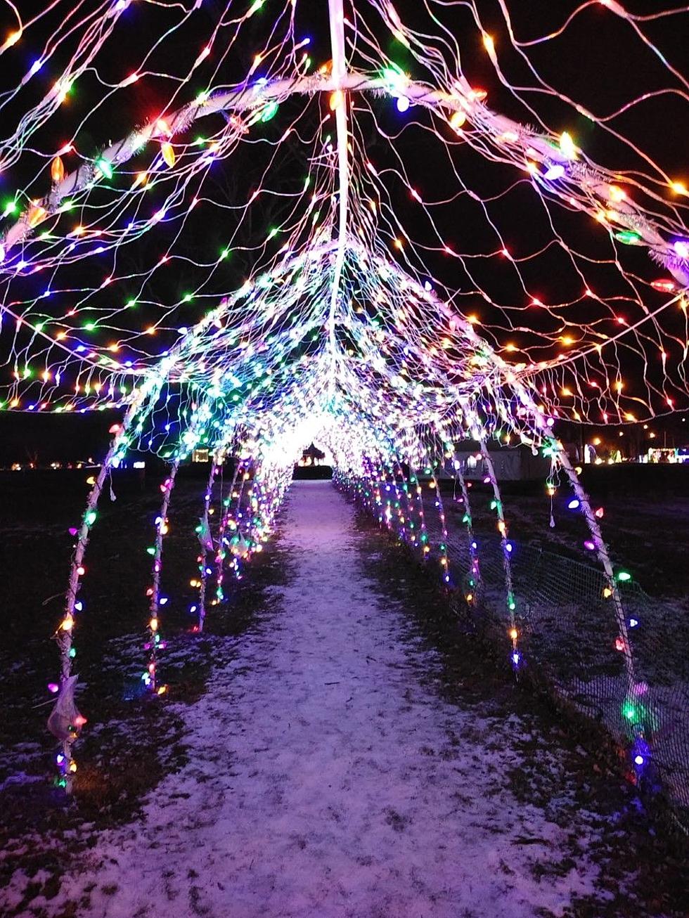 A Must-See: 2021 Oneonta, NY ‘Festival of Lights’ Is Almost Over