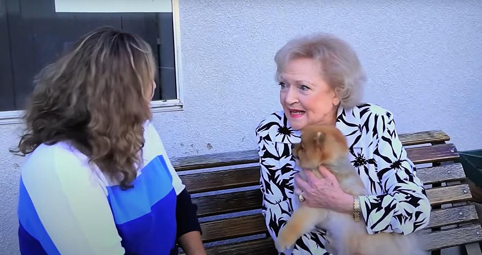 Honor Betty White On Her Birthday: Donate To One of These Central New York Animal Shelters
