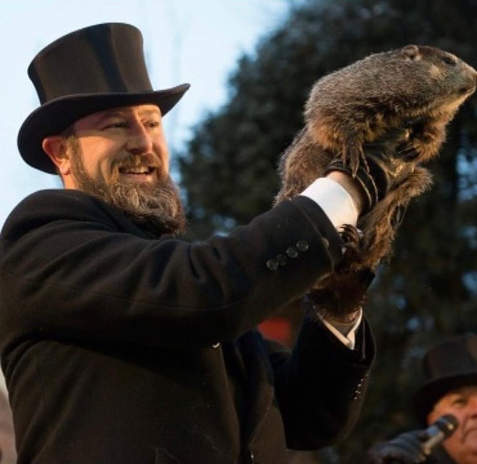 Groundhog Punxsutawney Phil Makes His 2022 Spring Prediction