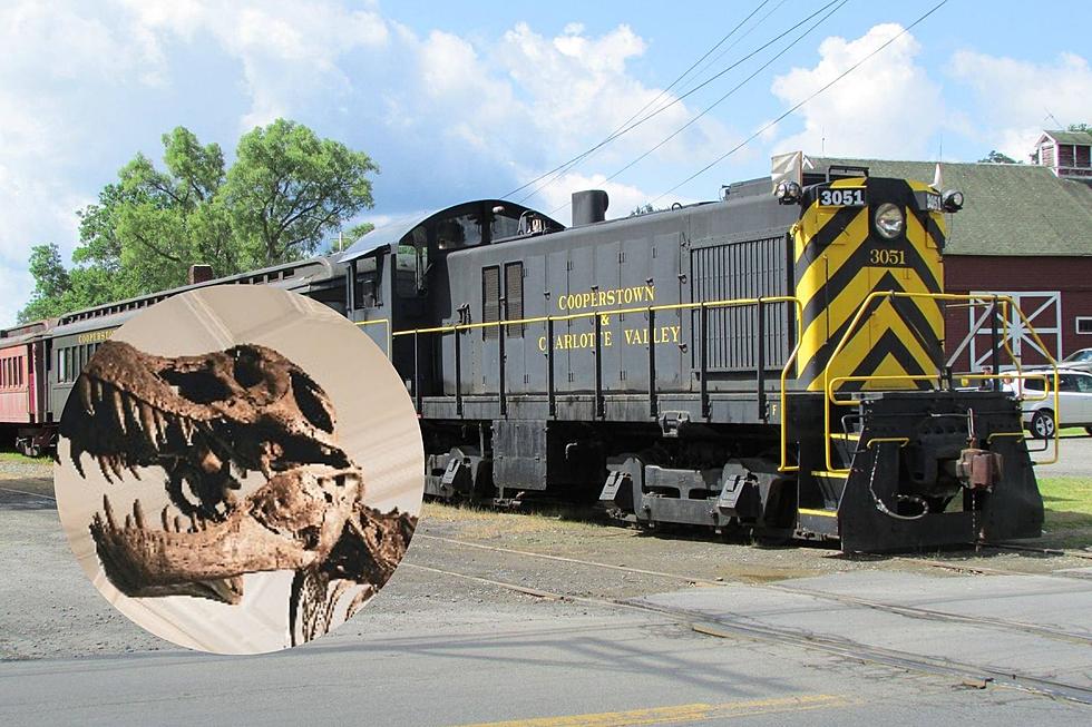 This Cooperstown Train Ride Proves Dinosaurs Are Fun Not Scary