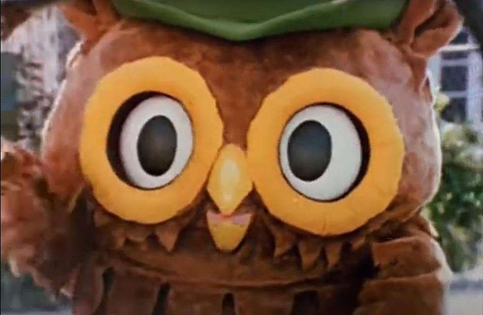 Earth Day Flashback: Remember When We Gave A Hoot? [Video]