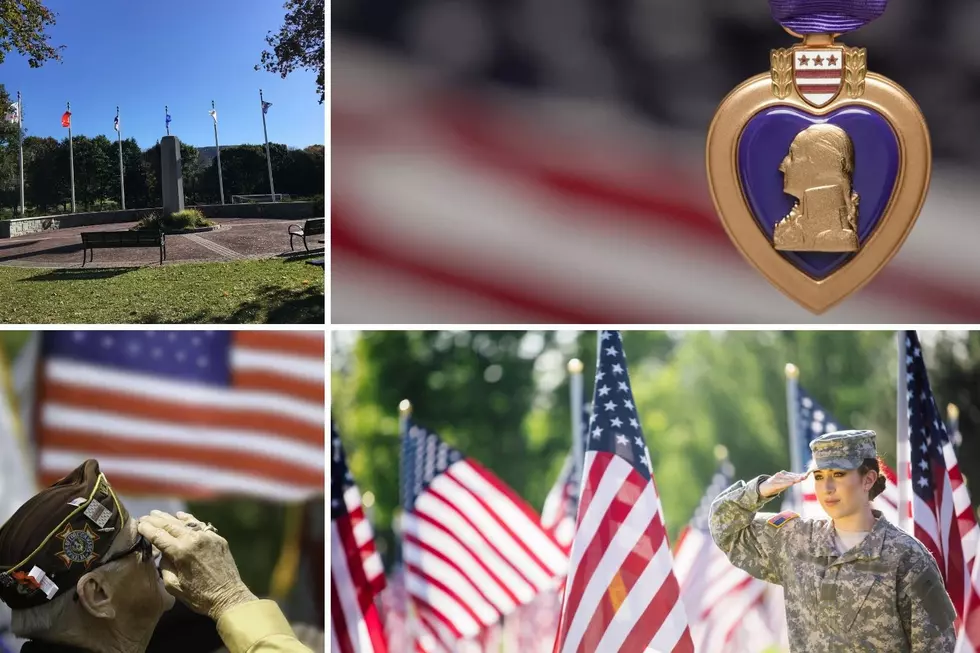 Otsego County Newly Proclaimed as 'Purple Heart County'