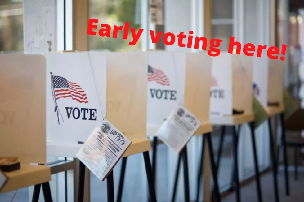 Choose State Governor and Lieutenant Governor In Convenient Early Voting