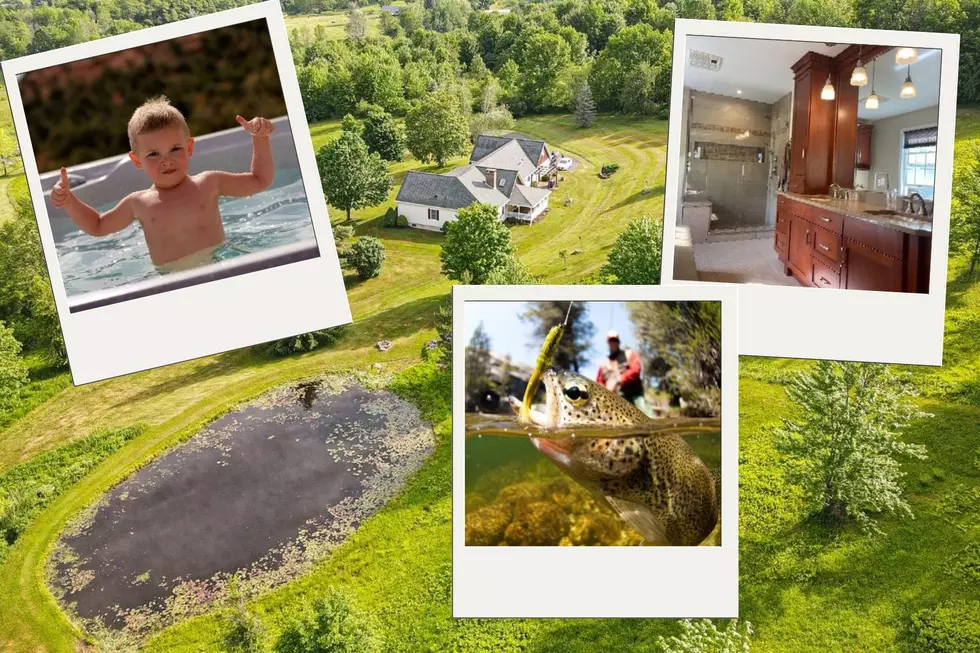 Private Otego, NY Home For Sale Has It All, Not Kidding [Photos]