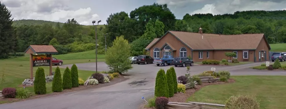 Otsego County Veterinarian Clinic Must Pay $90K 