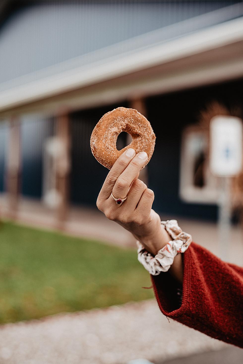 How to Make New York Apple Cider Doughnuts at Home