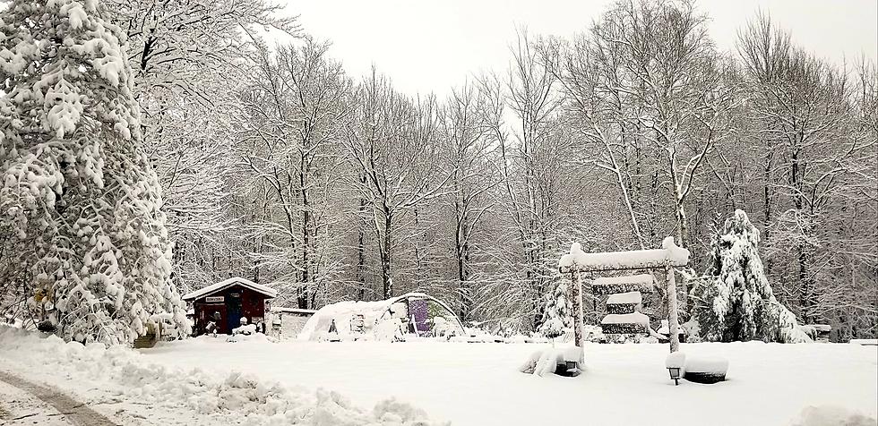 The Weather Outside is Frightful in Otsego County, New York