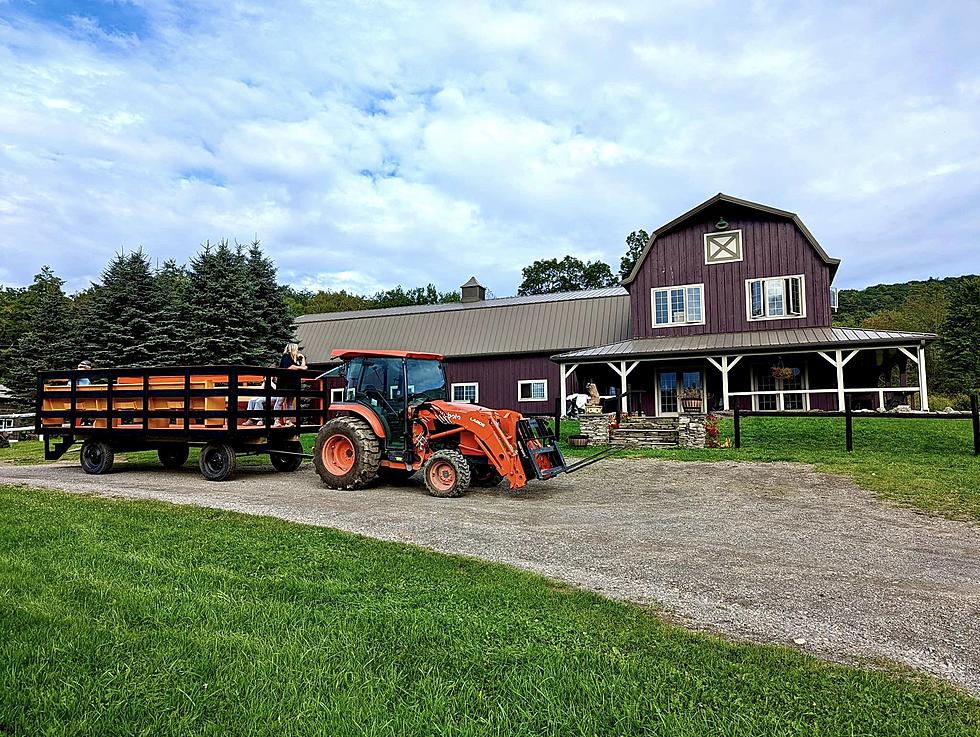Oneonta, New York Farm Tangles With Town Over Agritourism