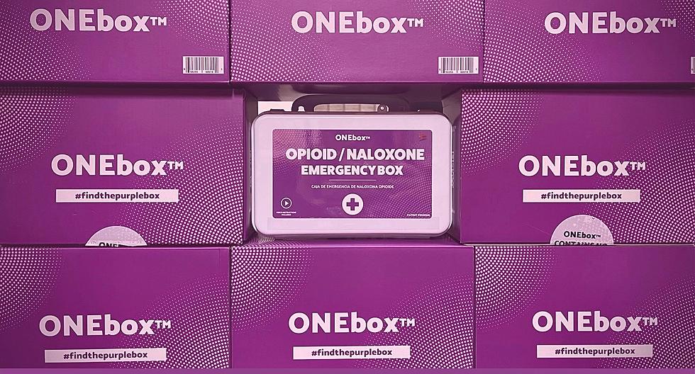 Otsego County, New York Group Addresses Opioid Overdose Crisis