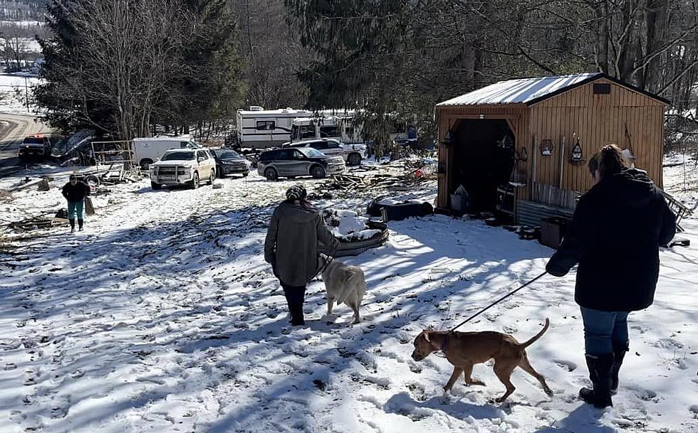 Animal Cruelty Under Investigation in Laurens, New York