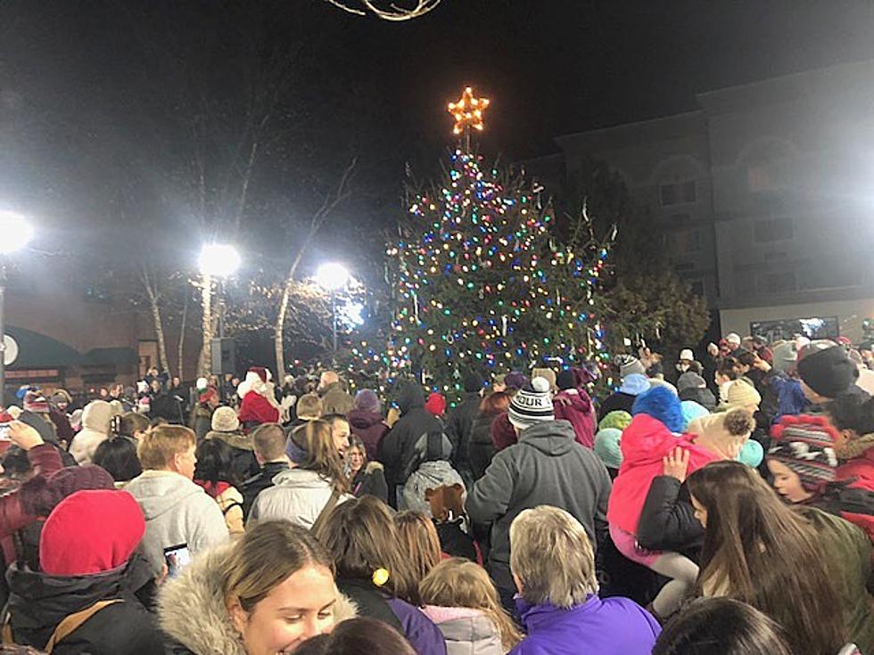 Hundreds Attend Oneonta Christmas Tree Lighting Ceremony (PHOTOS)