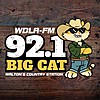 Big Cat - Country with Attitude logo