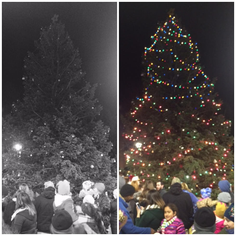 Photos of Oneonta Christmas Tree Lighting!