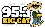 95.3 Big Cat