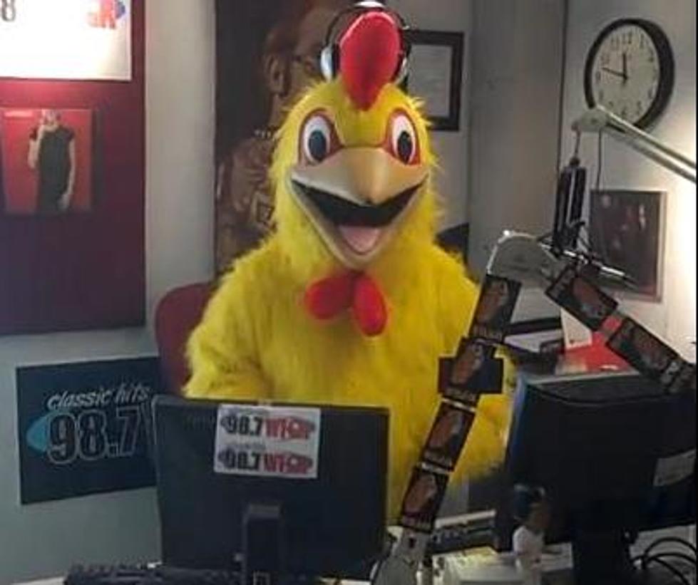 Cluck The Chicken Tries To Fly The Coop With The WFGR Receptionist