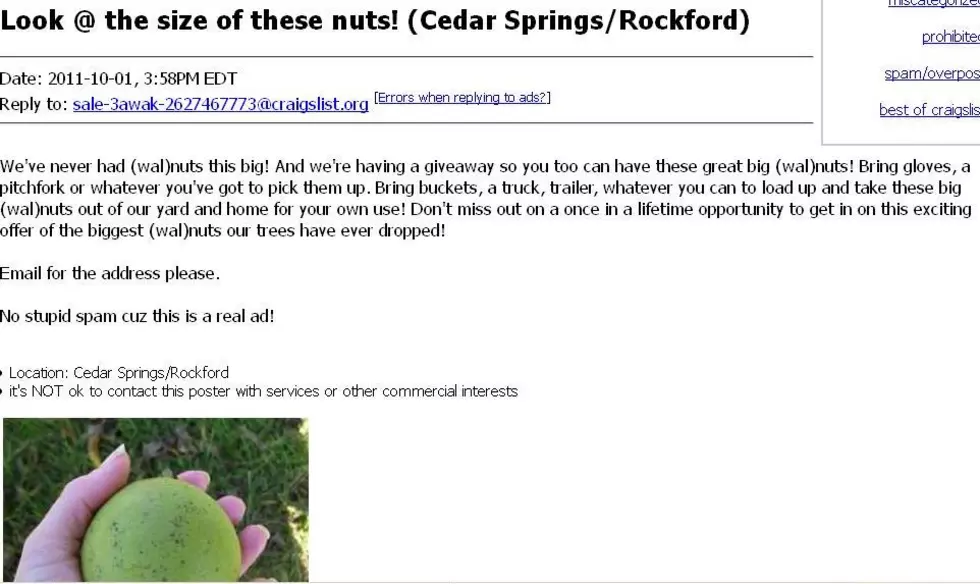 Another &#8220;Best Of Craigslist&#8221;!