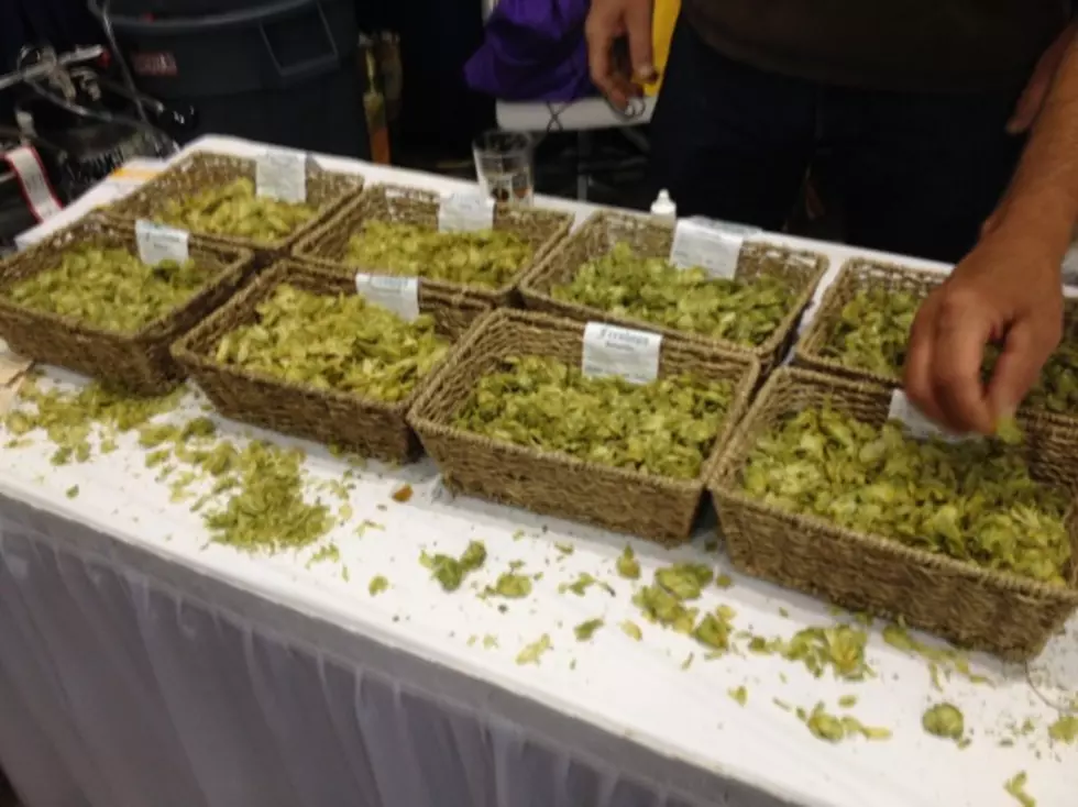 Beer is Here! 36th Annual National Homebrewers Conference is in Beer City USA