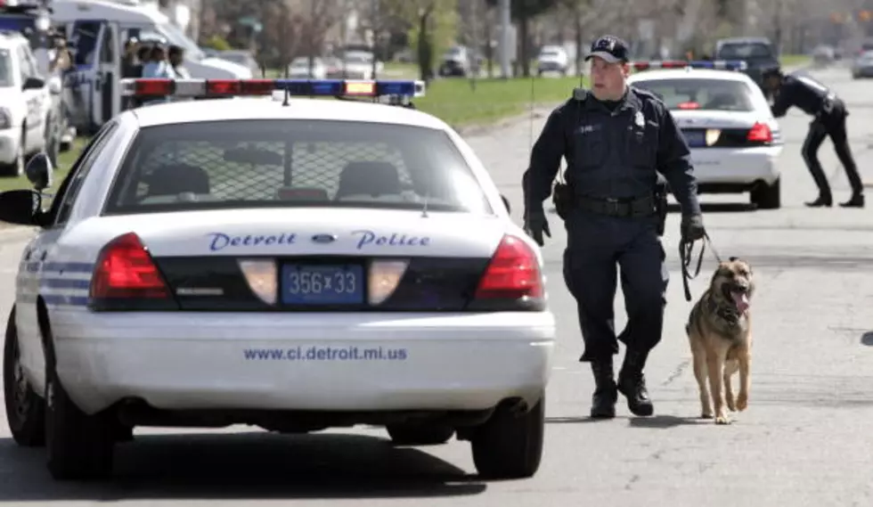 Detroit Police Chief Credits Armed Citizens With Crime Reduction