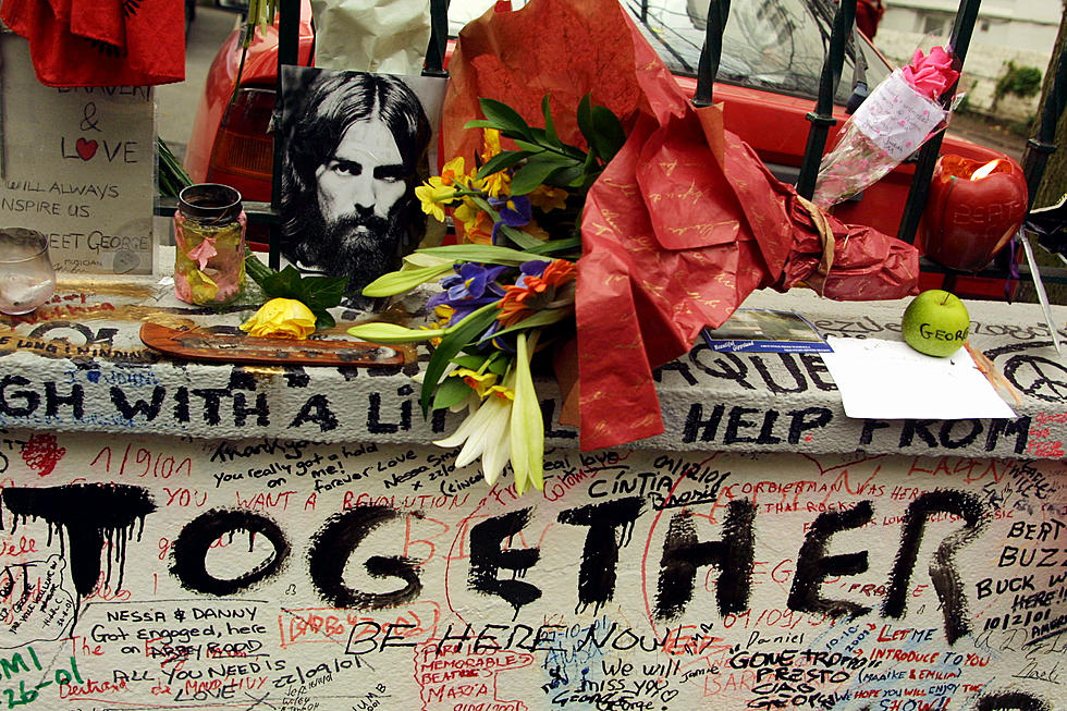 George Harrison’s Memorial Tree Killed by Beetles!